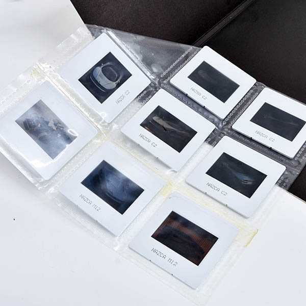 ITALDESIGN 1991����⡼�������硼�ץ쥹���å�