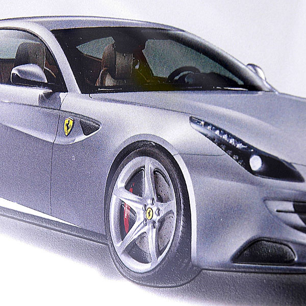 Ferrari FF Plate