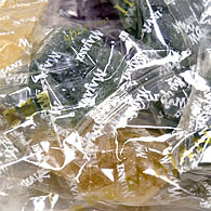 FIAT 500?�ߤ����ʤ̤������ (���꡼��)