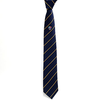 ASI Official Neck-Tie-Gold Stripe-