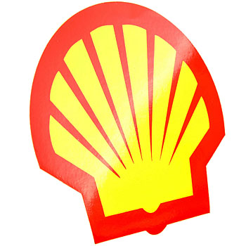 Shell Sticker(Medium)