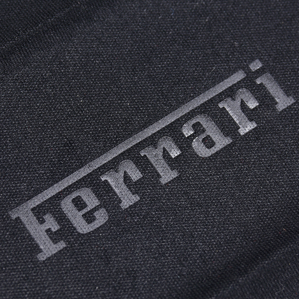 Ferrari-Damiani microfiber cloth