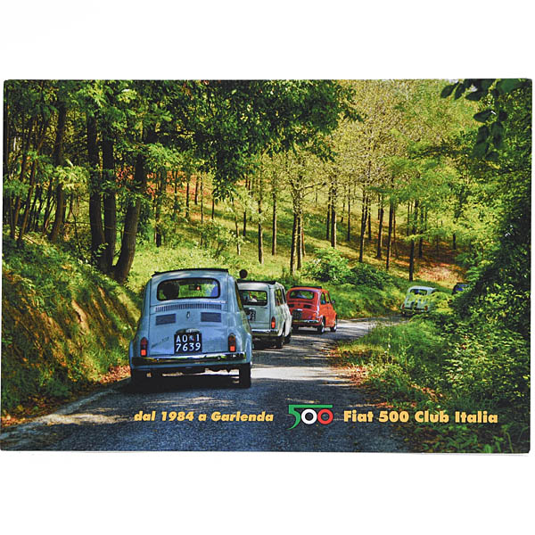 FIAT 500 CLUB ITALIA  Post Card(Forest)