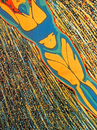 MARTINI Poster TypeB