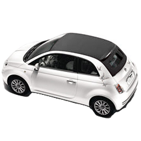 FIAT500եåǥ륻å (Хե饤/С)