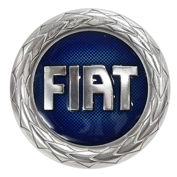 FIAT��Ω100��ǯ��ǰ���������