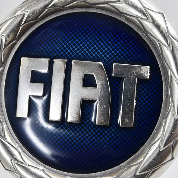 FIAT��Ω100��ǯ��ǰ�����