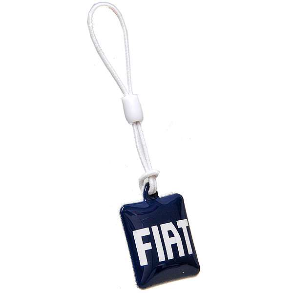 FIAT½ãÀµ·ÈÂÓÅÅÏÃ¥¯¥ê¡¼¥Ê¡¼