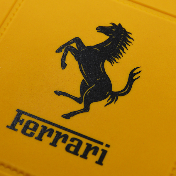 Ferrari Coaster