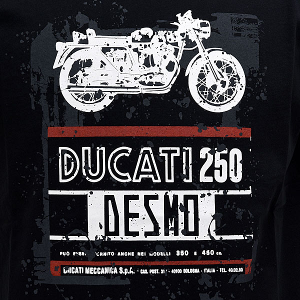 DUCATIT-DESMO 250-