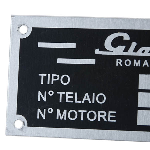 GIANNINI chassis plate