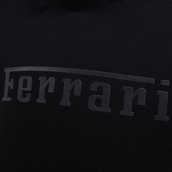 Ferrari�����롼�ե�������󥰥��󥰥ա��ǥ���