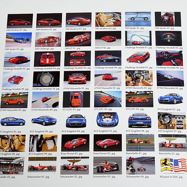 Ferrariƿʽ50ǯꥢǥ