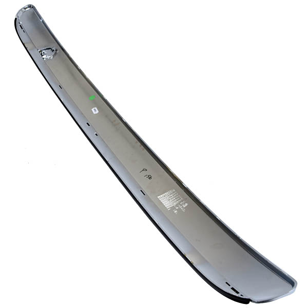 Rear Bumper Chrome Molding 