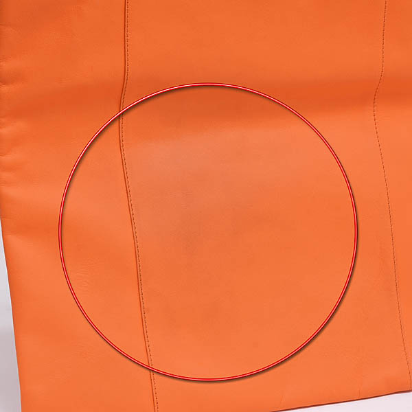 Lamborghini�����쥶���ȡ��ȥХå�(�����)