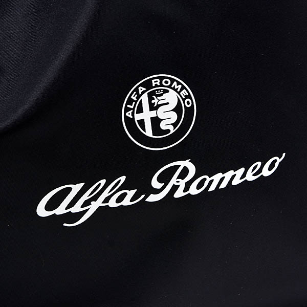 Alfa Romeo���������顼�Хå�